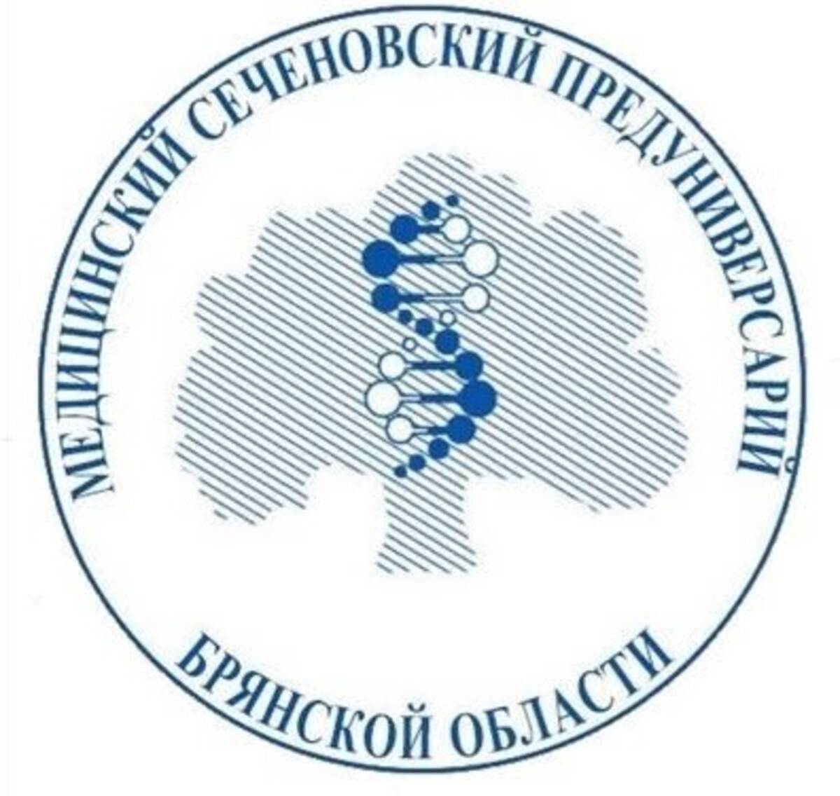 Главное изображение школы.